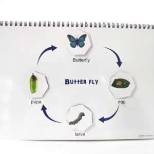 Life cycle Binder