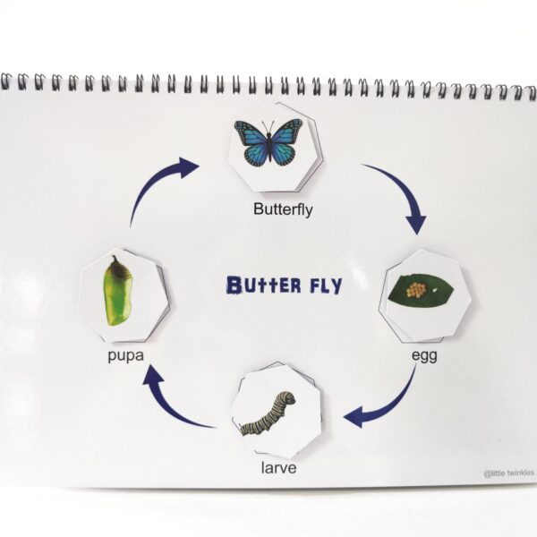 Life cycle Binder