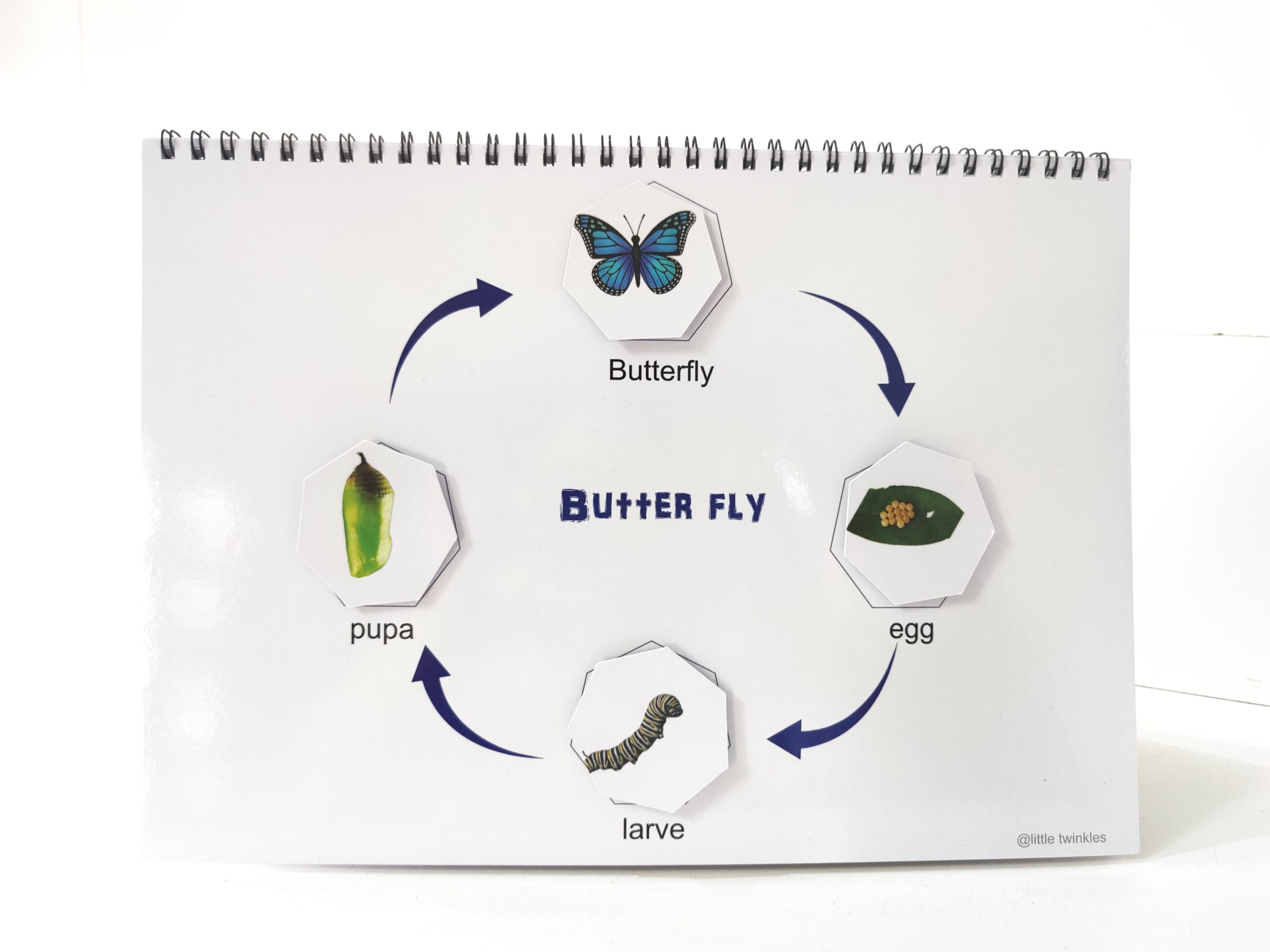 Life cycle Binder - Image 2