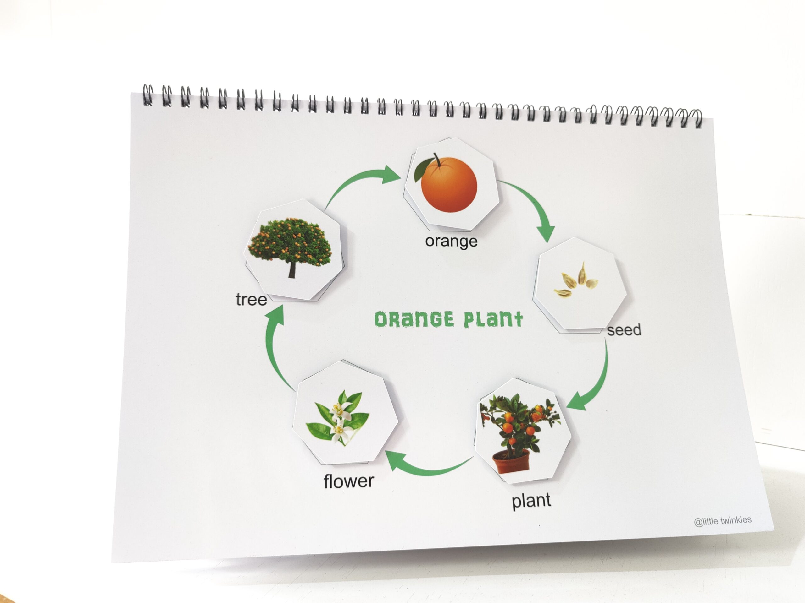 Life cycle Binder - Image 4