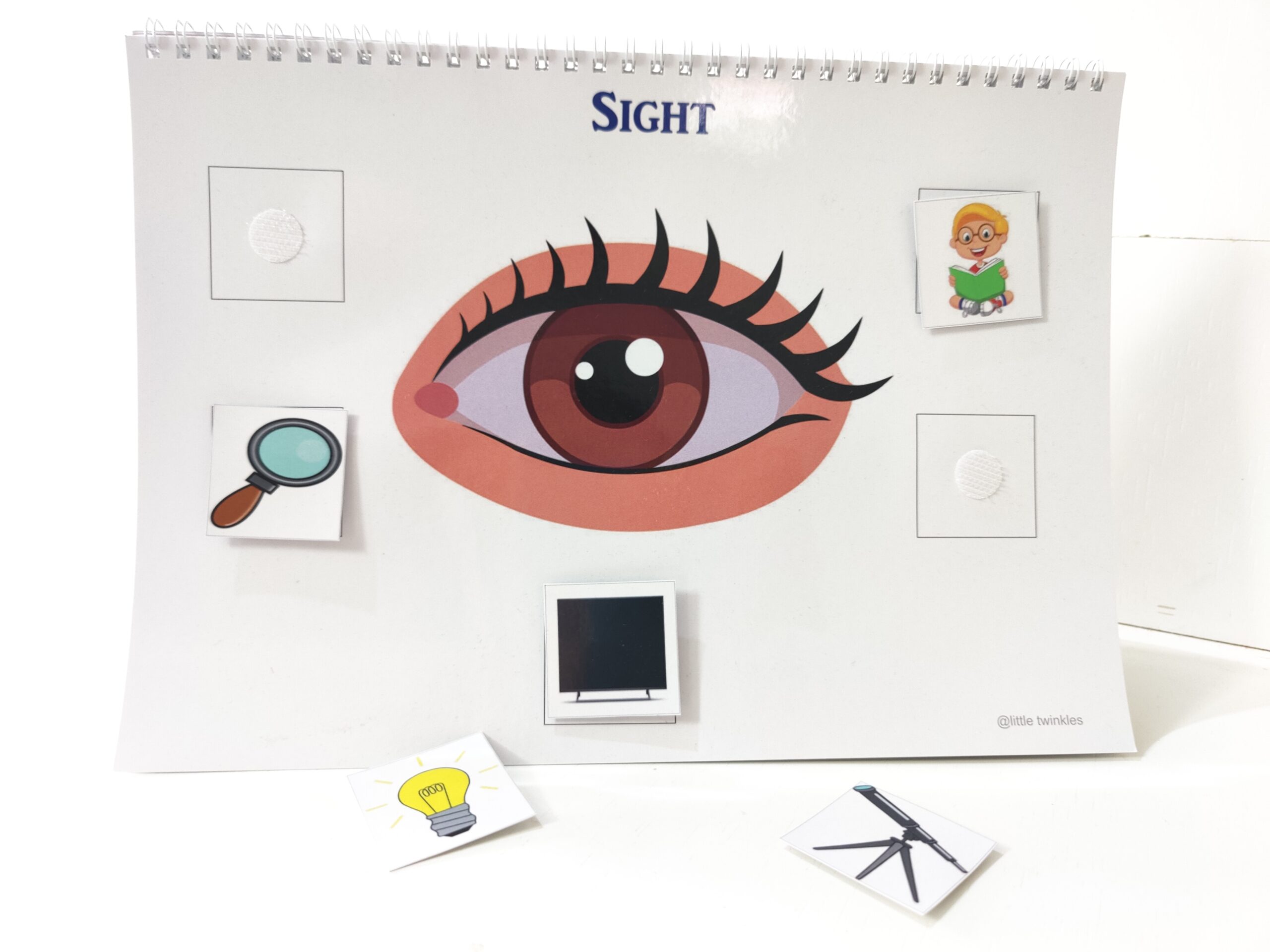 My Body binder - Image 2