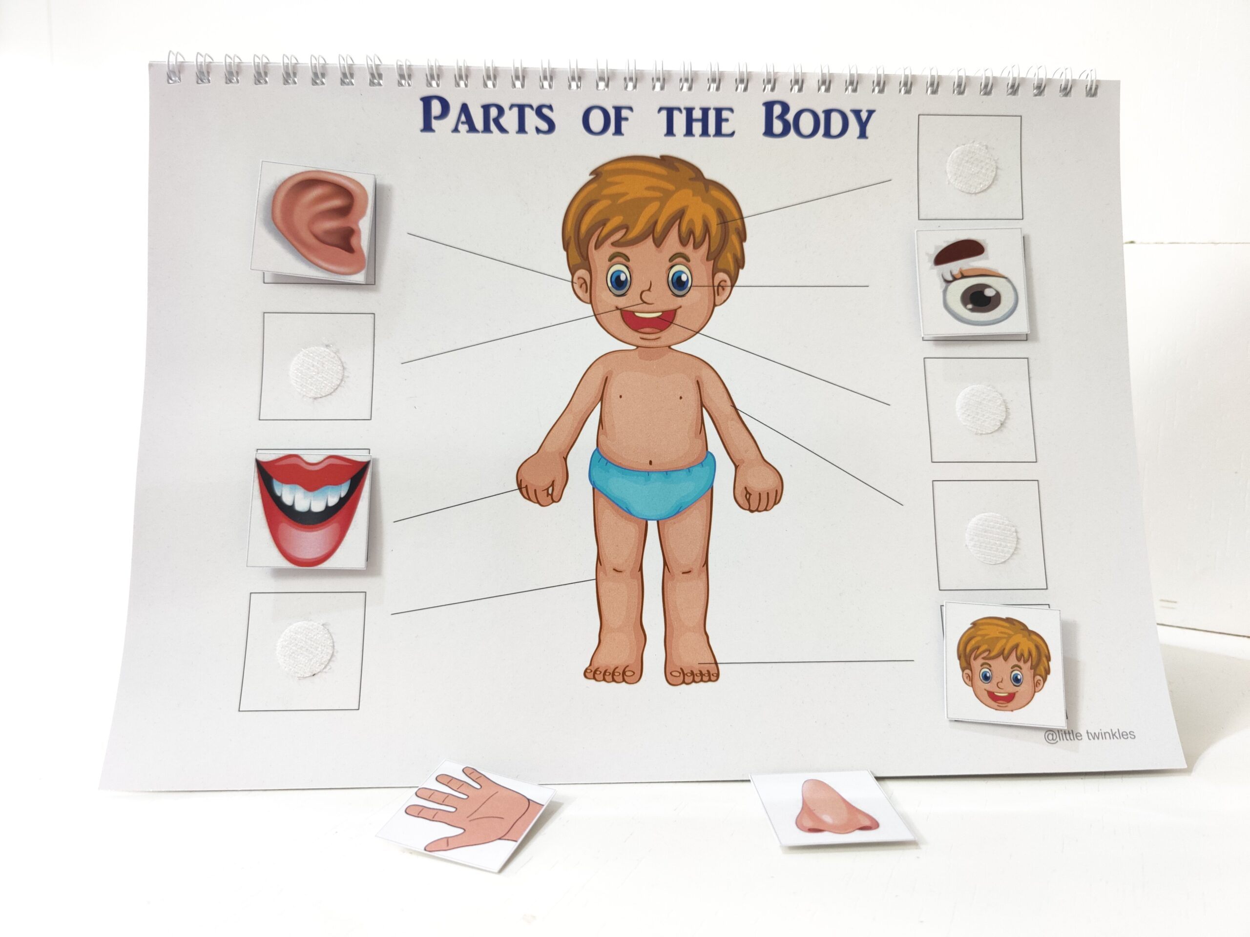 My Body binder - Image 3