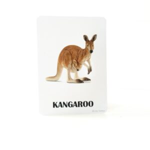 Animals Flash cards