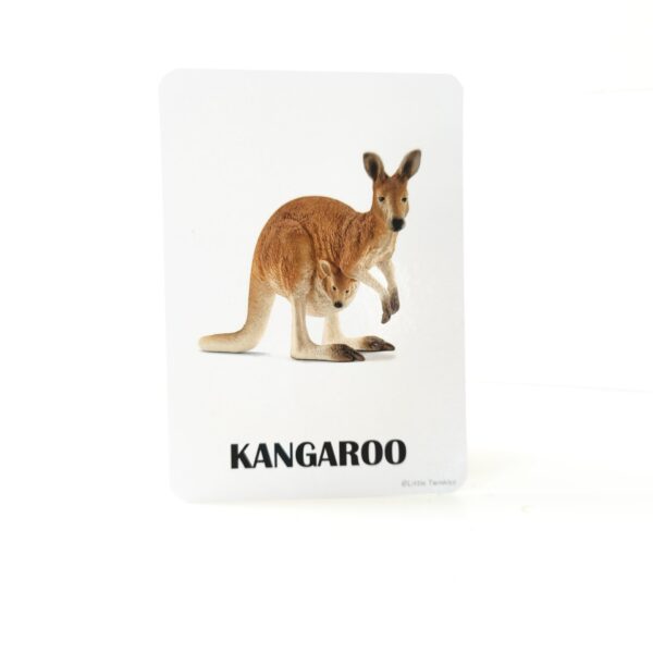 Animals Flash cards
