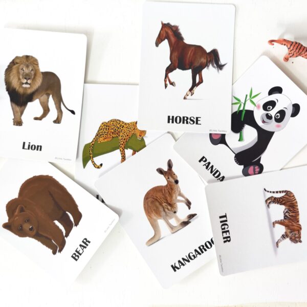Animals Flash cards