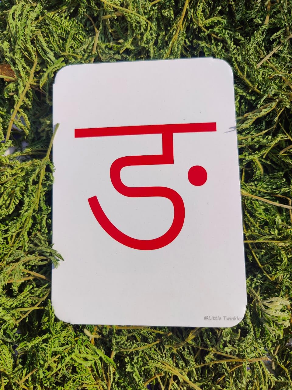 Hindi flash cards (barakhadi) 49 cards - Image 6